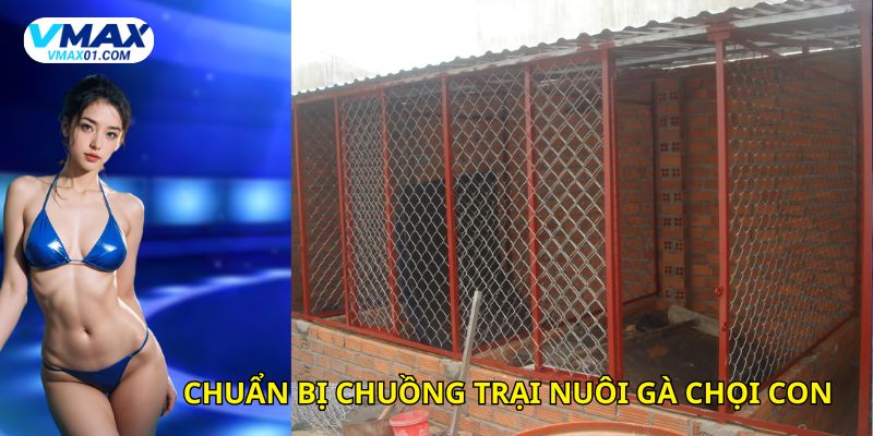 Chuẩn bị chuồng trại chăm sóc gà chọi con Chuẩn bị chuồng trại chăm sóc gà chọi con