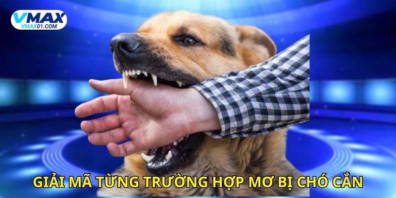 Giải mã từng trường hợp mơ bị chó cắn Giải mã từng trường hợp mơ bị chó cắn