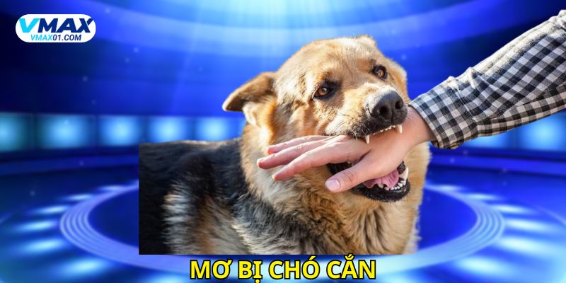 Mơ bị chó cắn