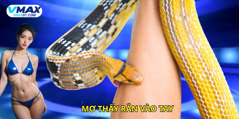 Giấc mơ bị rắn cắn vào tay Giấc mơ bị rắn cắn vào tay